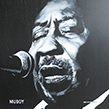 Muddy Waters 2